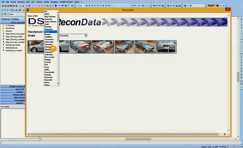 Database delle immagini con indicazione di scala incluso in PC-Crash.